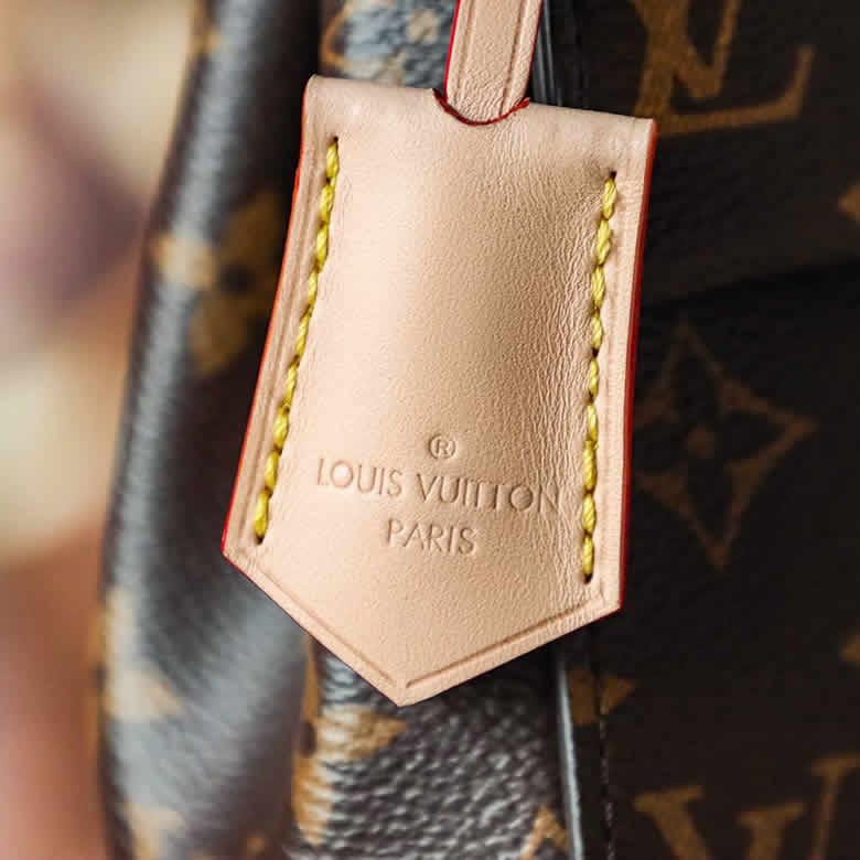 Louis Vuitton/路易威登 23新款Cluny女士迷妳老花帆佈配皮單肩包 M46055￥1480.00的图片-高仿LV包包、高仿lv女包